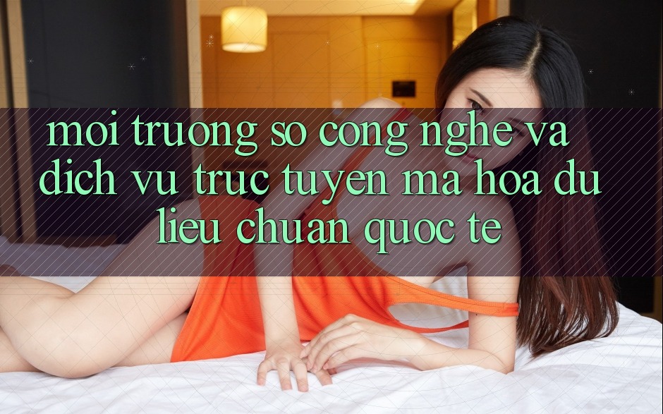 Môi trường số Công Nghệ Và Dịch vụ trực tuyến Mã hóa dữ liệu Chuẩn Quốc Tế Môi trường số Công Nghệ Và Dịch vụ trực tuyến Mã hóa dữ liệu Chuẩn Quốc Tế