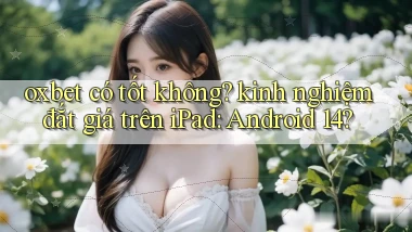 oxbet có tốt không kinh nghiệm đắt giá trên iPad Android 14