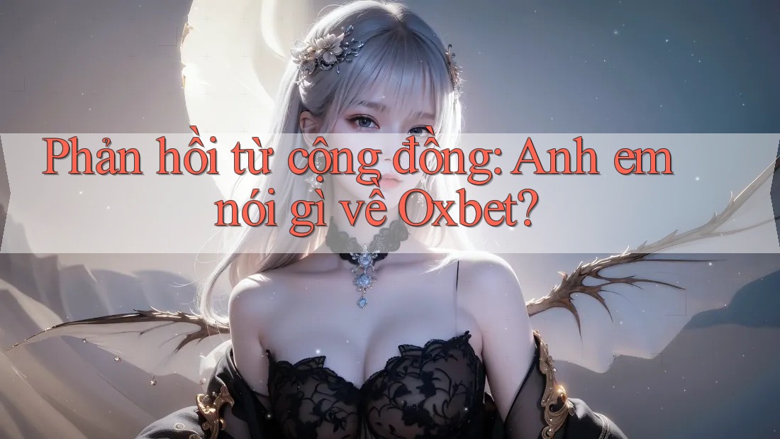 Phản hồi từ cộng đồng: Anh em nói gì về Oxbet?