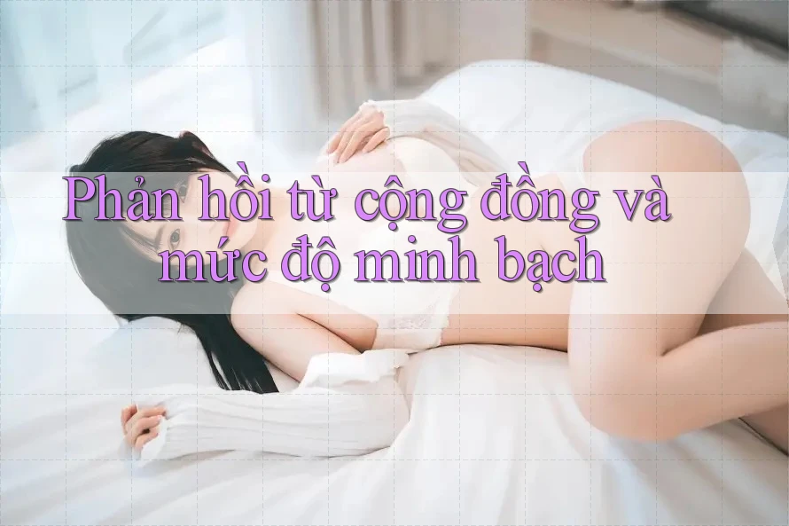 Phản hồi từ cộng đồng và mức độ minh bạch Phản hồi từ cộng đồng và mức độ minh bạch